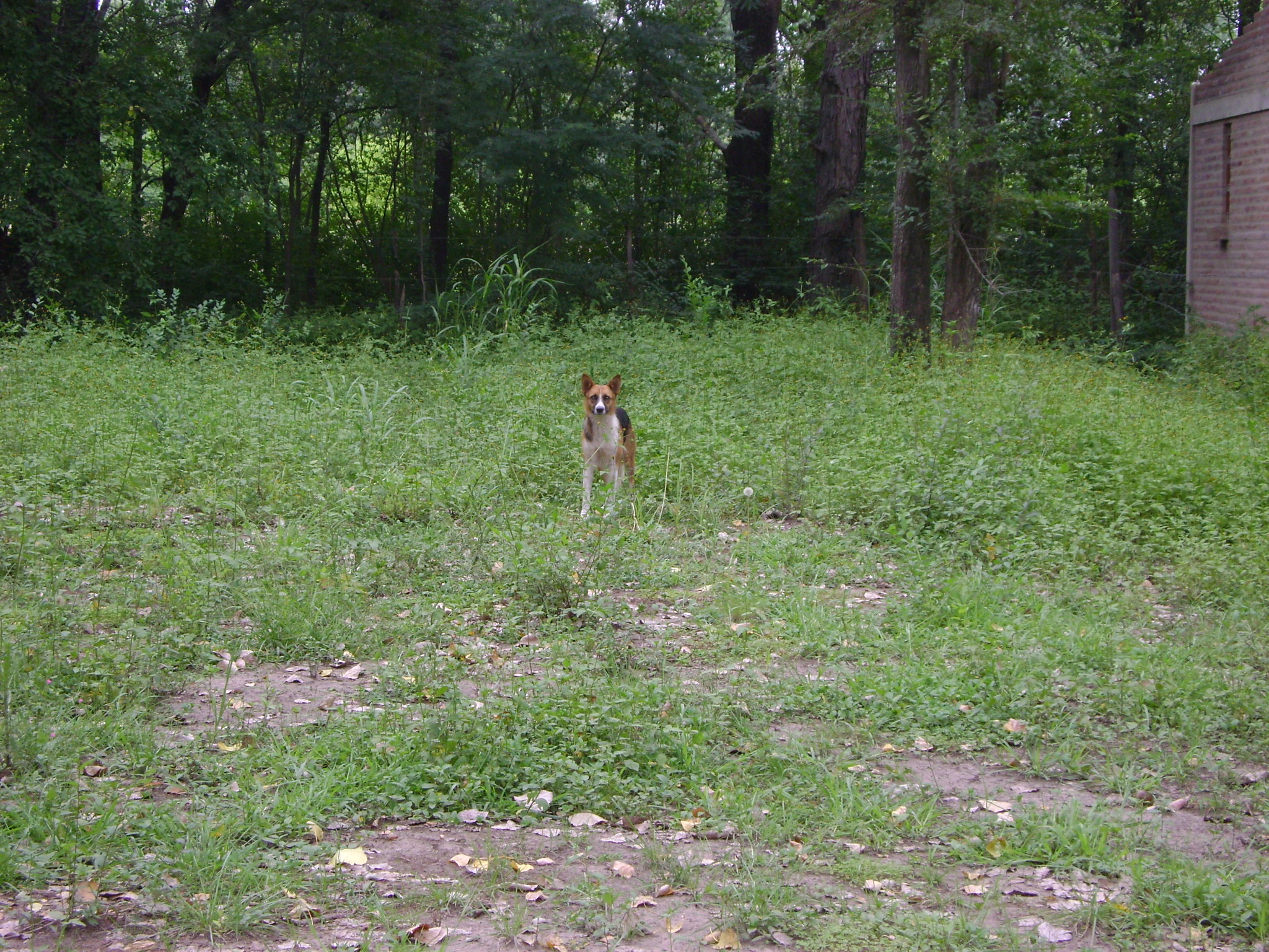 fotos/2011 - Los Reartes/DSC03256.JPG